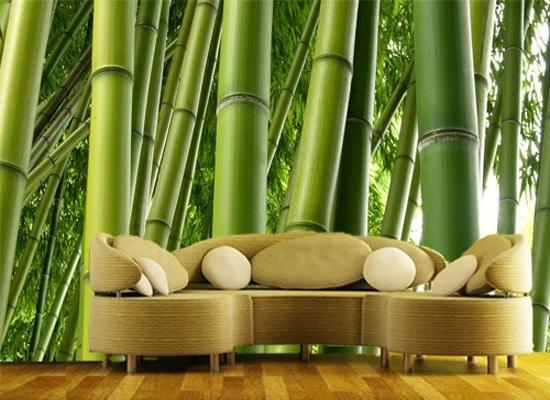 Использование бамбука при отделке интерьера