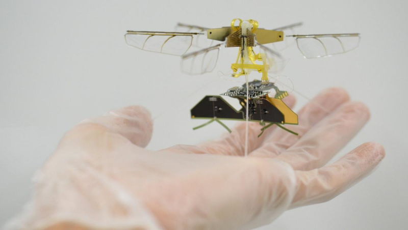 Toyota создала дрон размером с насекомое – аппарат летает без встроенного аккумулятора (фото)